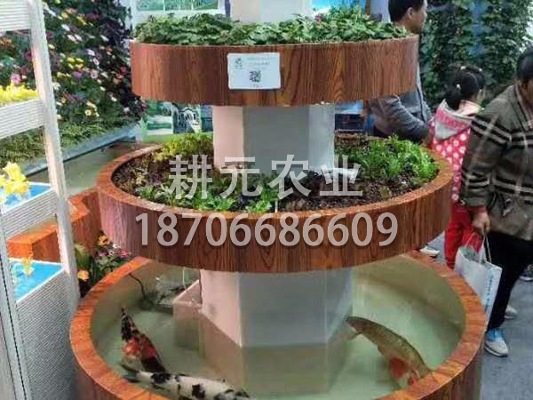 怎樣清洗魚菜共生廠家的設備