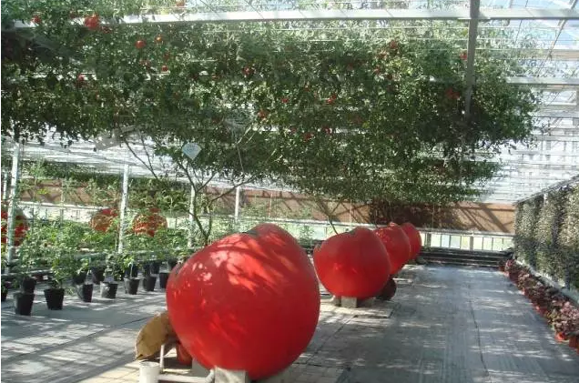 無(wú)土栽培廠家