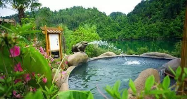 無(wú)土栽培廠家