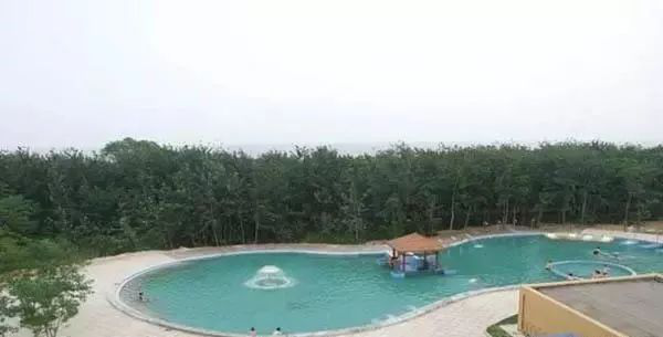 無(wú)土栽培廠家