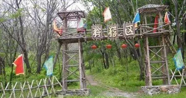 無(wú)土栽培廠家