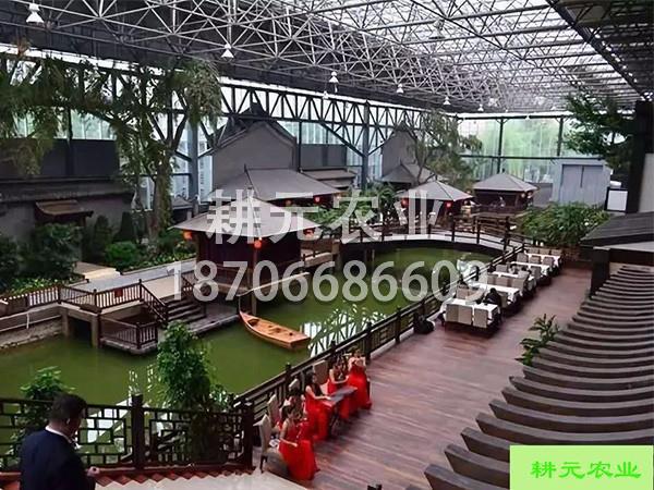 無土栽培有什么優(yōu)點